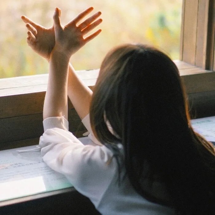 山鸟与鱼不同路