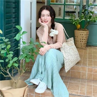 寅次郎的故事16 葛饰立志篇