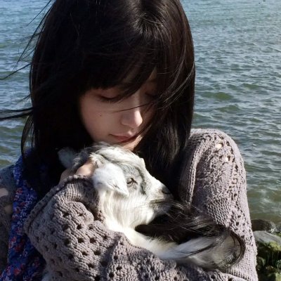 淘气托托大冒险